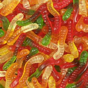 Koala Gummy Worms bulk candy 1kg - Bulk Candy - - Tevan Enterprises - Canadian Wholesale Confections