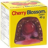 Lowney Cherry Blossom 45g 24s, Chocolate and Chocolate Bars, Hershey's, [variant_title] - Tevan Enterprises